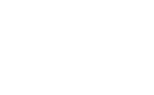 The Trump Economic Miracle
